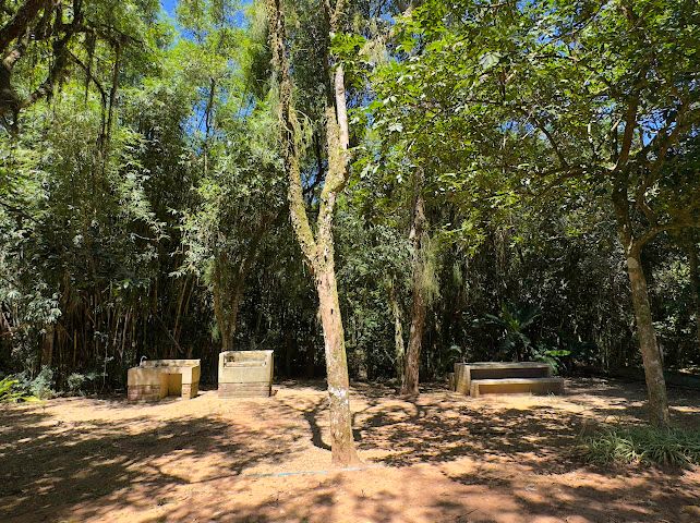 WhatsApp Image 2025-04-07 at 15.40.58 (3)